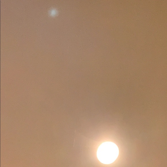 Meet your Posher, Adam - Picture 1 of 1